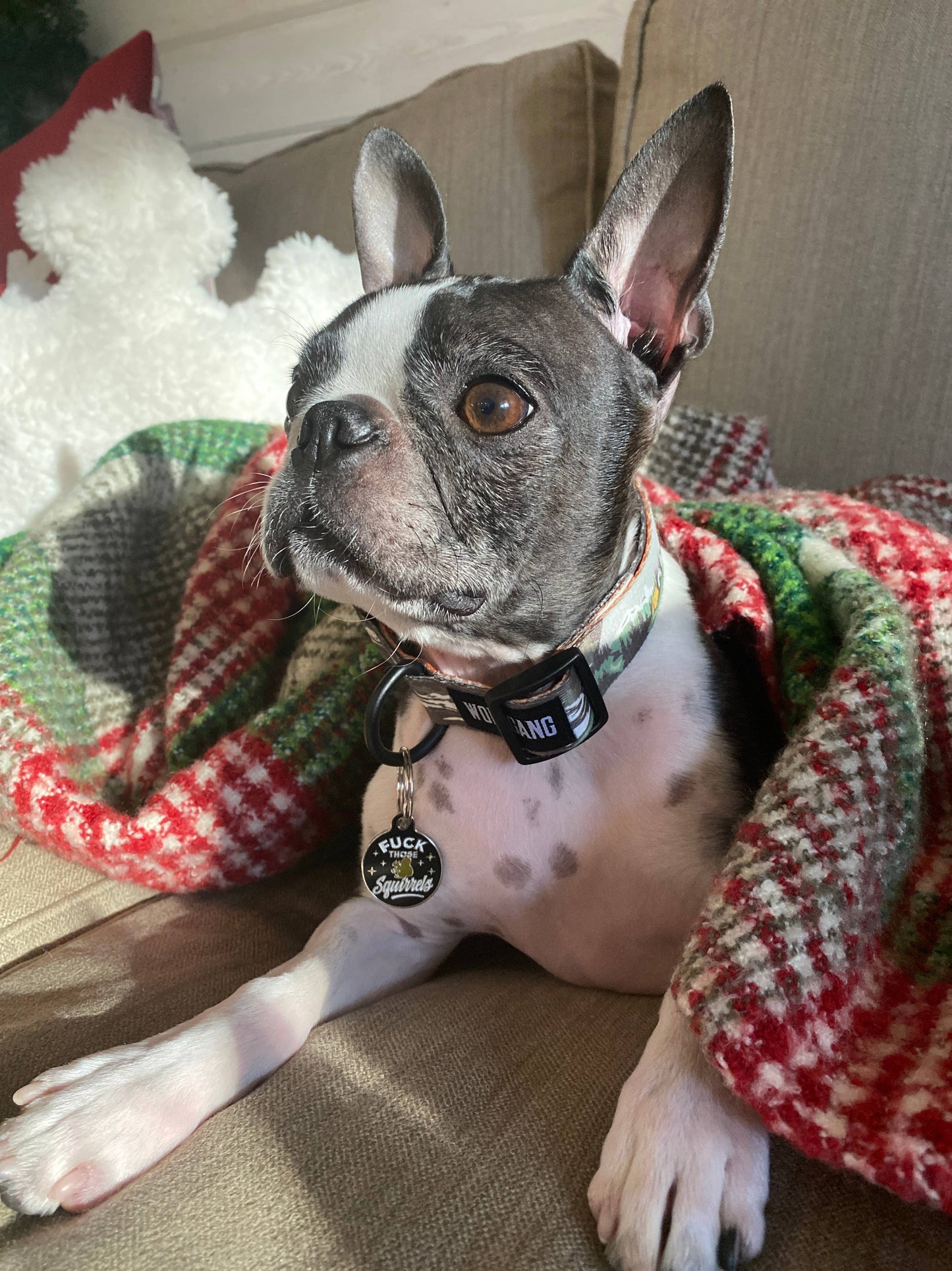 Funny Dog Tag with Personalized QR Code - Fuck those Squirrels