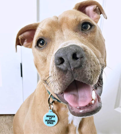 Dog Tag with Personalized QR Code - Invader Personal Space 