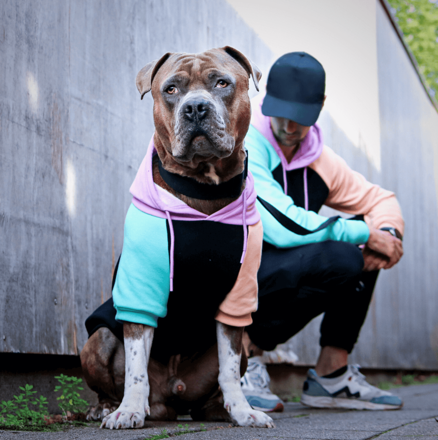 Cyber Punk Dog Hoodie