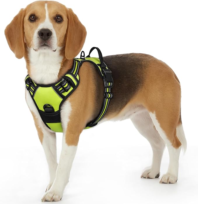 Reflective No-Pull Adjustable Harness & Matching Leash