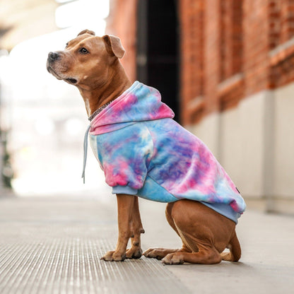 Velvet Snow Cone Dog Hoodie