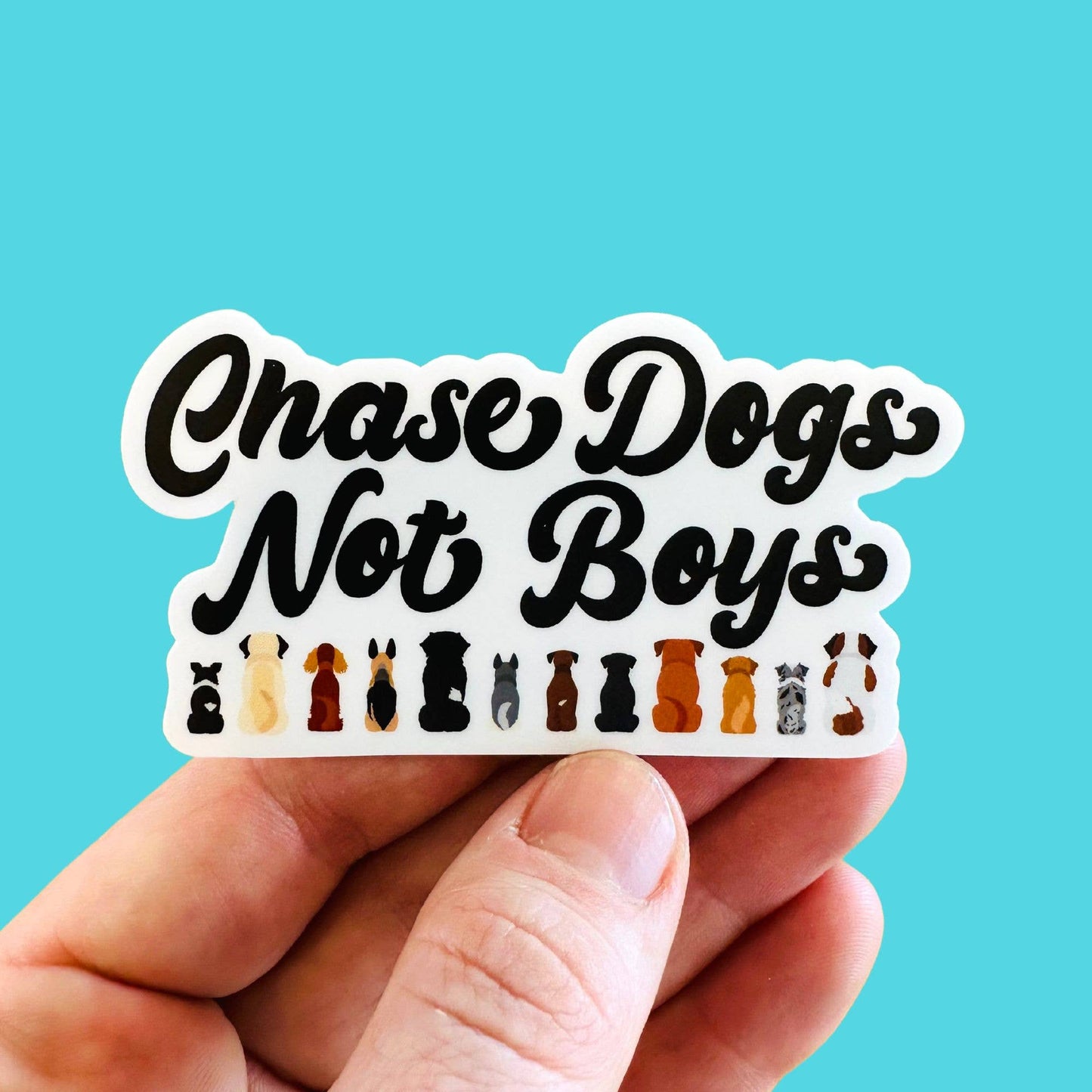 Chase Dogs Not Boys Sticker