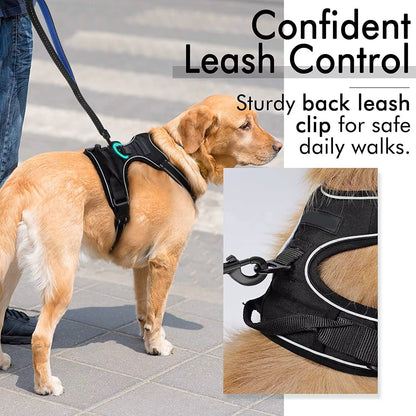 Reflective No-Pull Adjustable Harness & Matching Leash