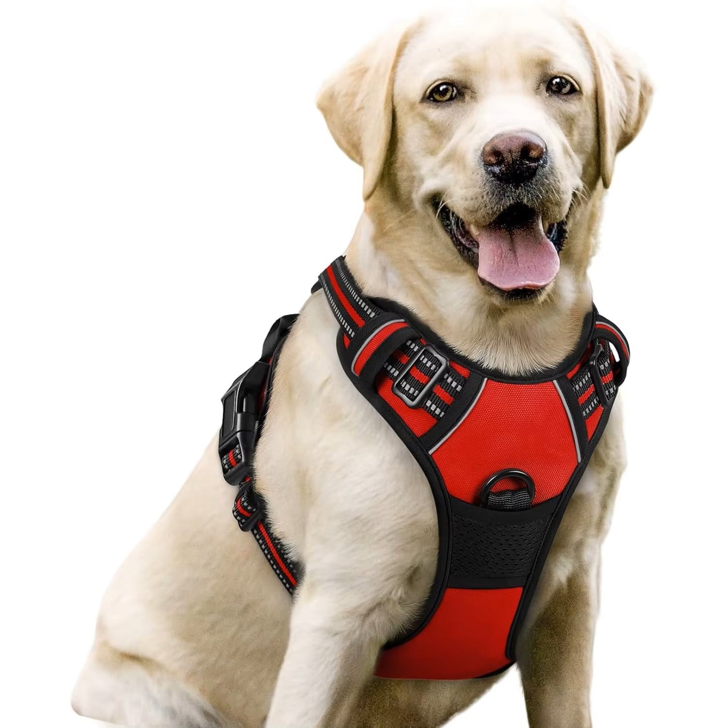 Reflective No-Pull Adjustable Harness & Matching Leash