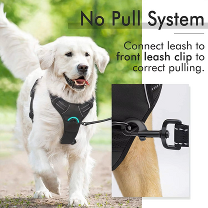 Reflective No-Pull Adjustable Harness & Matching Leash