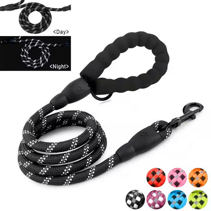 Nylon Rope Leash - 5 Foot