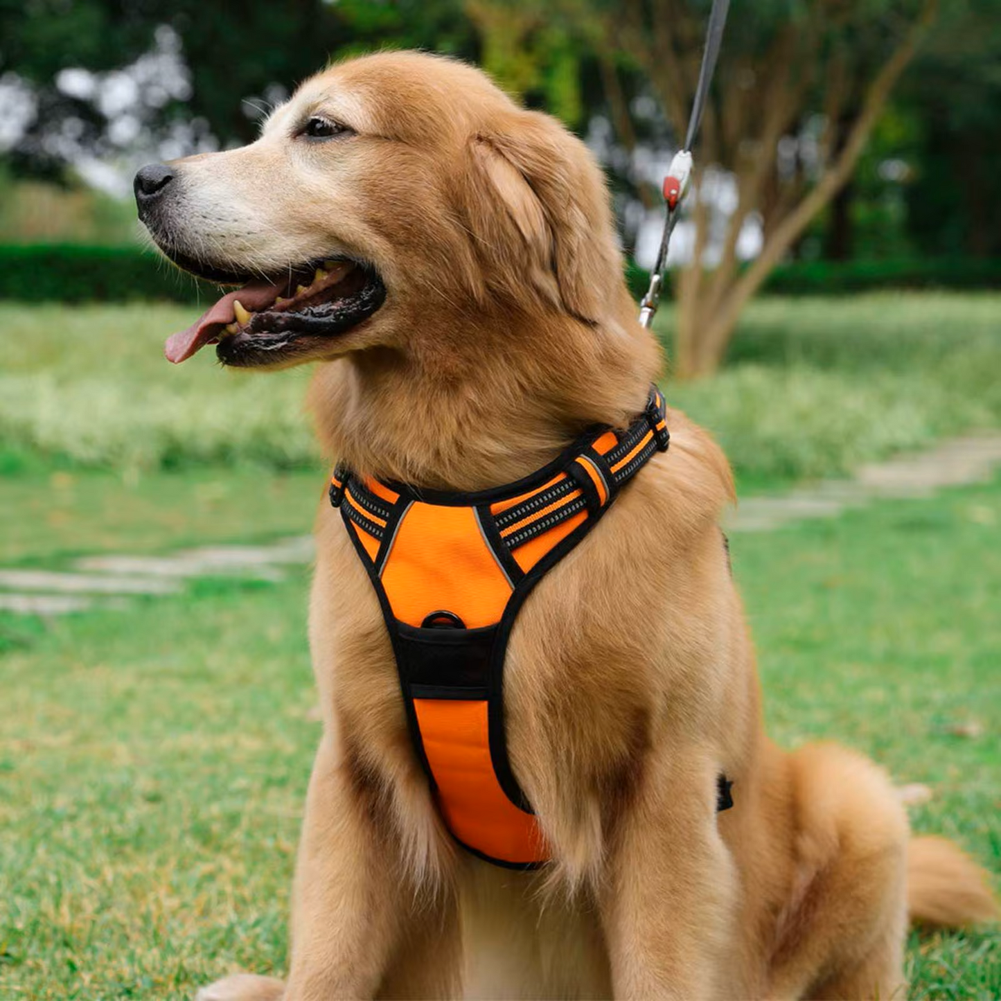 Reflective No-Pull Adjustable Harness & Matching Leash