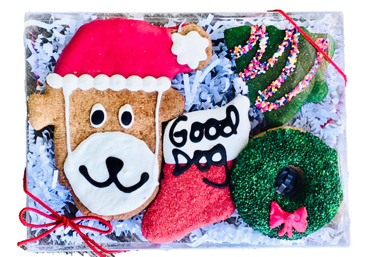 Santa Dog Gift Box - Dog Treat