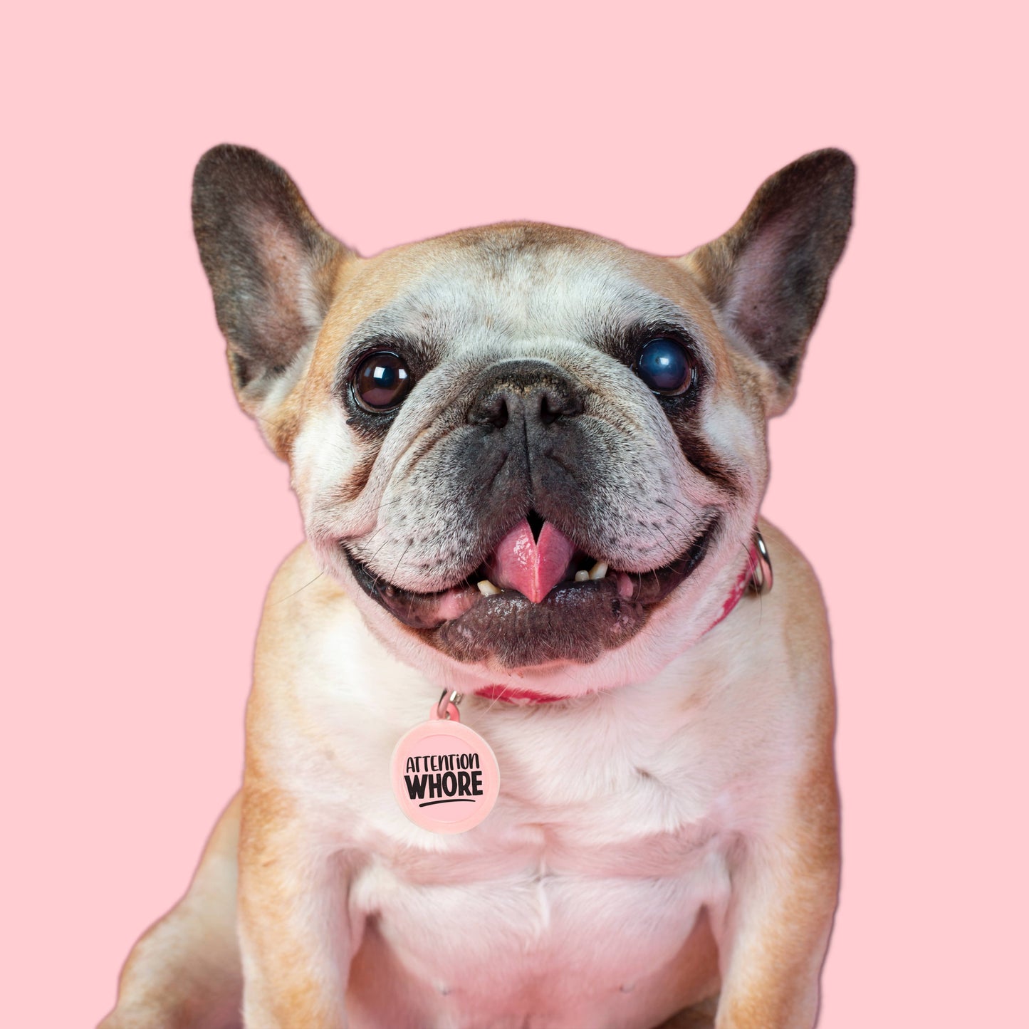 Funny Dog Tag with Personalized QR Code - Attention Whore