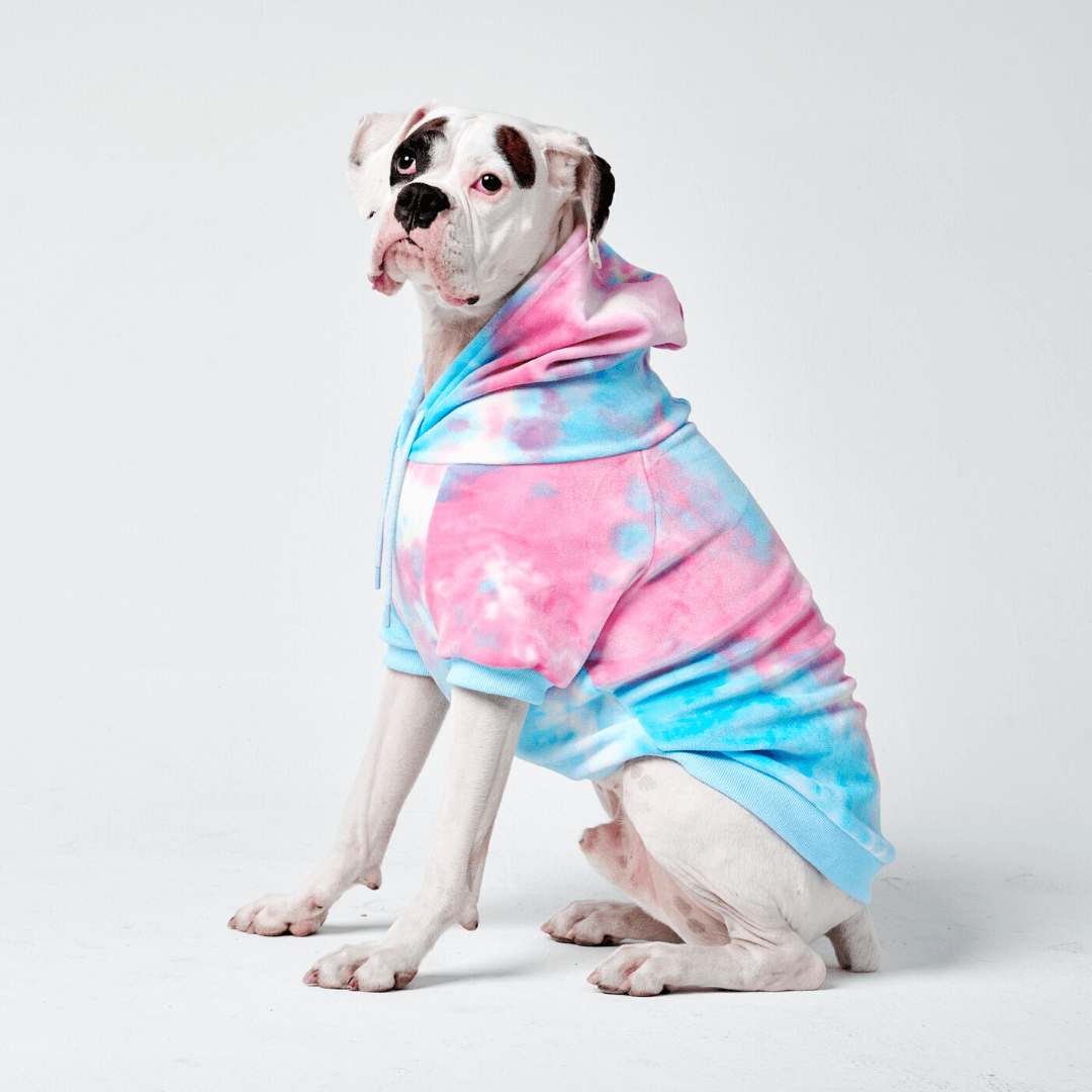 Velvet Snow Cone Dog Hoodie