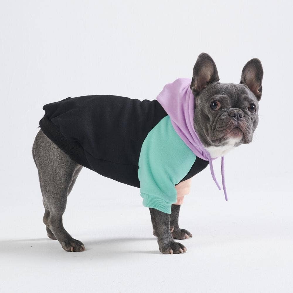 Cyber Punk Dog Hoodie