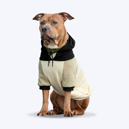 Olive Cream Dog Hoodie