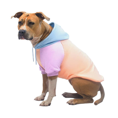 Cotton Candy Dog Hoodie